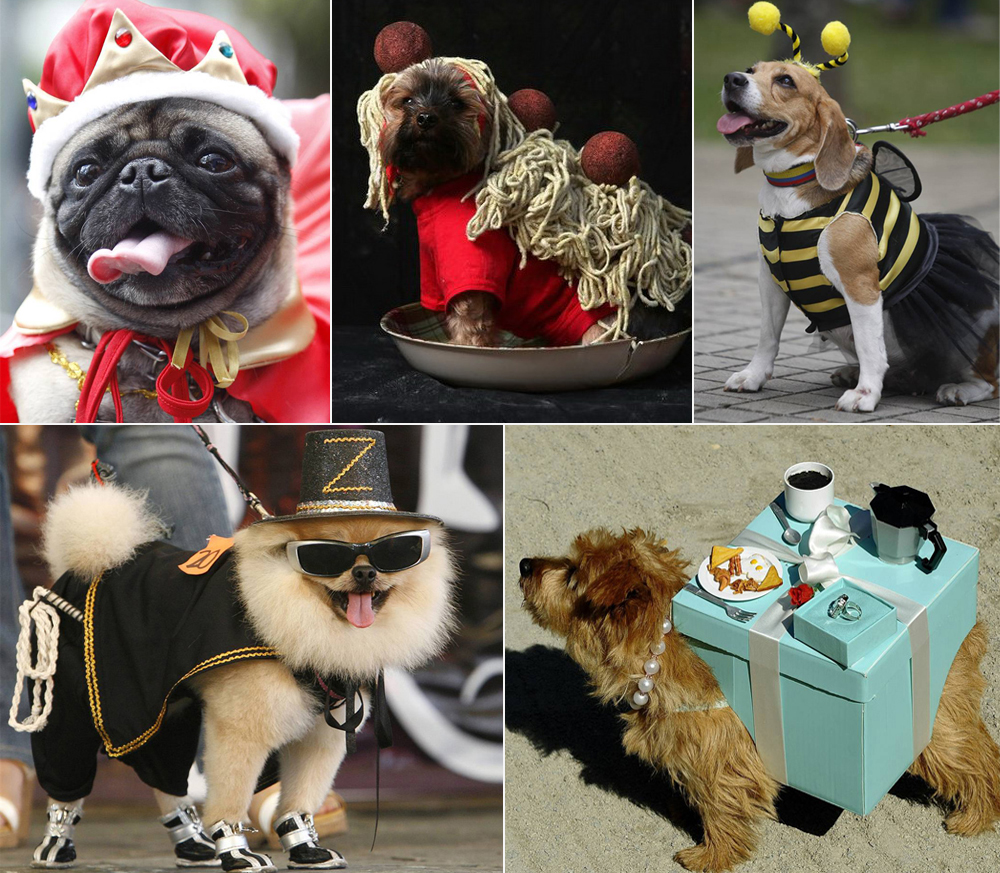 Хэллоиун3.jpg Хэллоиун3.jpg